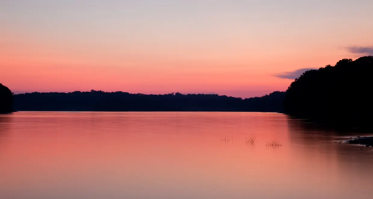 Mirror-still lake water reflecting a soft pink and peach afterglow, with a dark, low wooded shoreline across the middle of the frame.